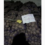 Продаем картофель оптом от производителя. Низкая цена
