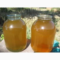 Мед подсолнух - разнотравье
