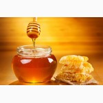 Украинский мед полифлора на экспорт. Крупный опт - от 10 тонн. Всего - 3000т