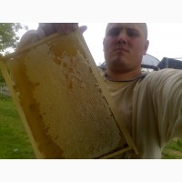 Продам бджолопакети або сімї