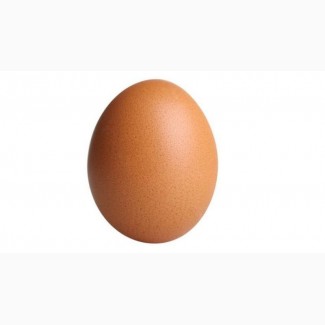 Срочно продам яйцо от производителя с 20 тонн