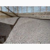 Фуражна (дрібна) картопля урожай 2021