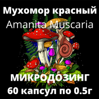 Мухомор красный в капсулах Amanita Muscaria по 0.5г. 60шт