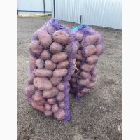 Продається картопля некондиція