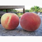 Реализуем персик, абрикос, сливу из своего сада в Измаиле