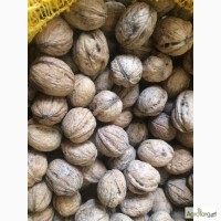 Продам грецкий орех, урожай 2018 года