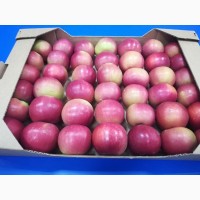 Яблоки от производителя. Урожай 2018г
