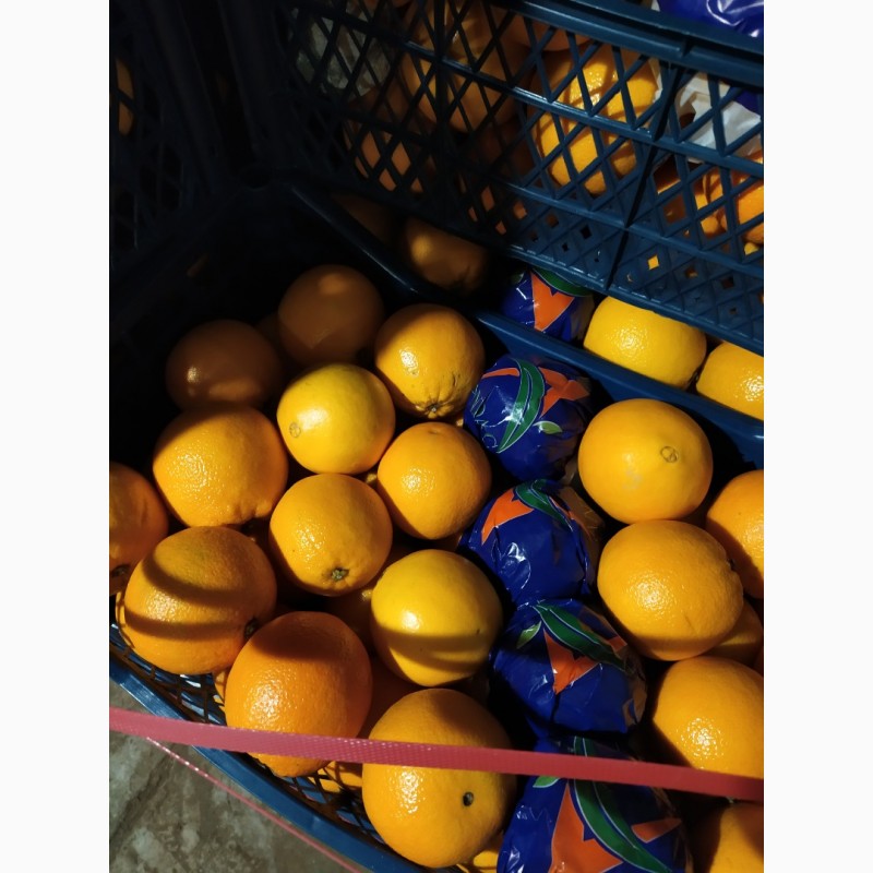 Фото 2. Апельсин та Грейфрут (грейпфрут) від імпортера / грей (грейпфрут) и апельсин от импортера