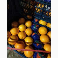 Апельсин та Грейфрут (грейпфрут) від імпортера / грей (грейпфрут) и апельсин от импортера