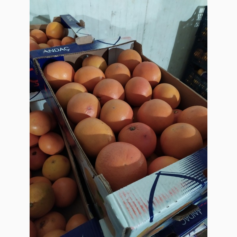 Фото 3. Апельсин та Грейфрут (грейпфрут) від імпортера / грей (грейпфрут) и апельсин от импортера