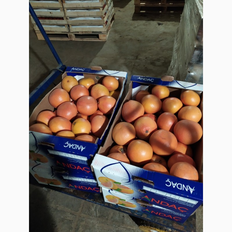 Фото 4. Апельсин та Грейфрут (грейпфрут) від імпортера / грей (грейпфрут) и апельсин от импортера