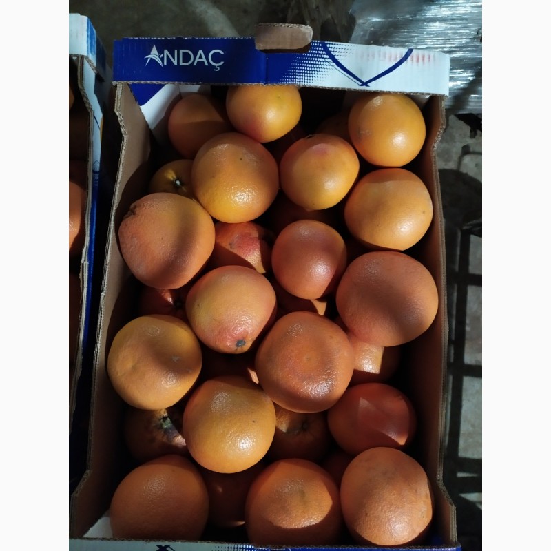Фото 5. Апельсин та Грейфрут (грейпфрут) від імпортера / грей (грейпфрут) и апельсин от импортера
