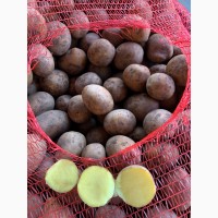 Продам семенной картофель 2 репродукция гала и других сортов