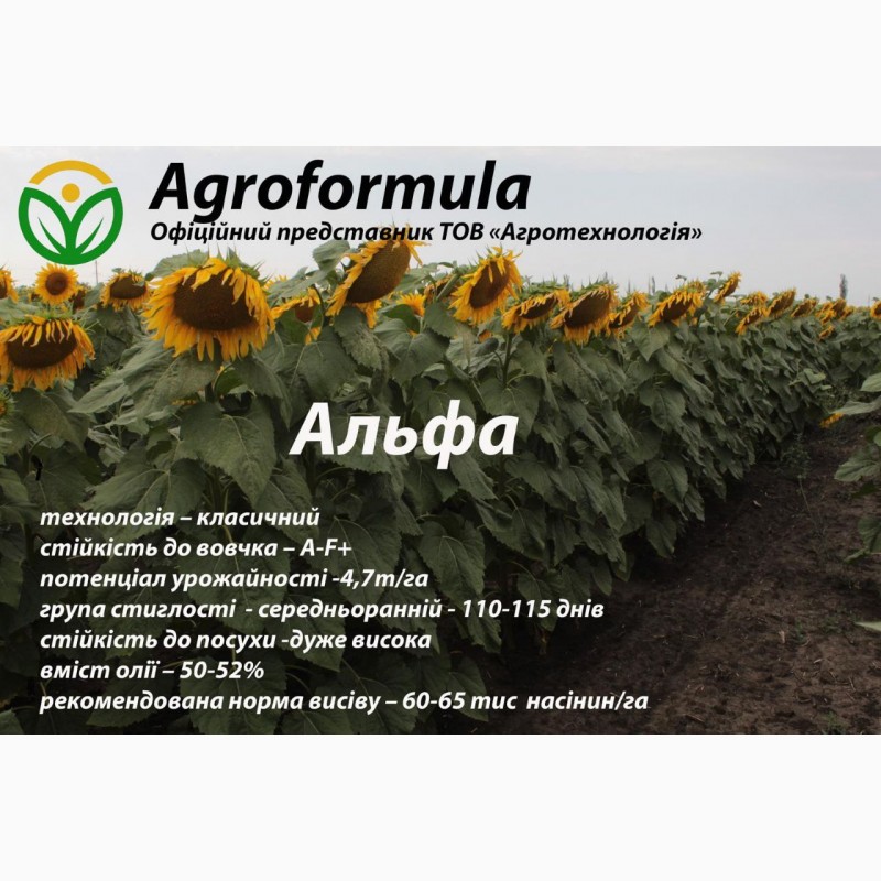 Фото 4. Торгова марка Агроформула пропонує вам насіння соняшнику, мінеральні добрива, та ЗЗР