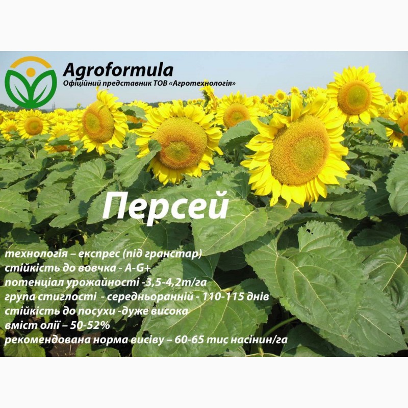 Фото 8. Торгова марка Агроформула пропонує вам насіння соняшнику, мінеральні добрива, та ЗЗР
