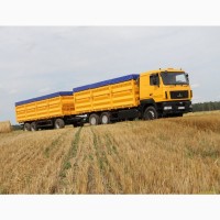 Купуємо Кукурудзу авто потяг порт Одеса Чорномоськ Ізмаїл клас 1-4 10 000 грн. Договірна