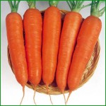 Продам семена Морковь Ням ням