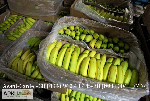 Фото 3. Бананы оптом (Эквадор). Лучшее предложение в Украине. Звоните
