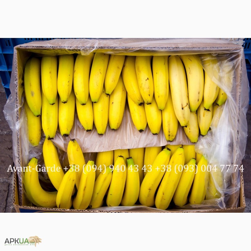 Фото 4. Бананы оптом (Эквадор). Лучшее предложение в Украине. Звоните