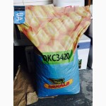 Семена кукурузы Monsanto DKC 3420