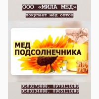 ООО «Мила Мед» - покупаем мед подсолнуха оптом