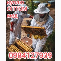 КУПЛЮ мед в Дніпропетровській області
