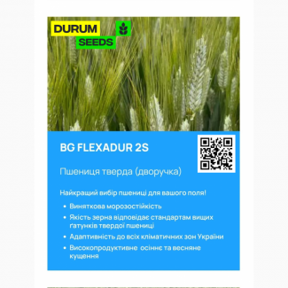 Насіння пшениці - БГ Флексадур 2С (BG Flexadur 2S) тверда дворучка (Biogranum D.O.O.)