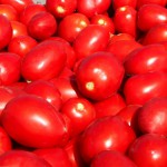 Продам помидор круглый и сливка недорого