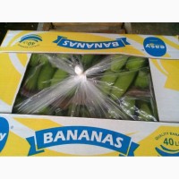 Банан каверны премиум-класса P21 коробка с 19, 4 кг нетто цена 7, 50 usd FOB Colombia