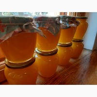 Продам мед разнотравья