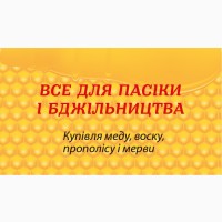 Куплю мёд оптом в любой точке Украины