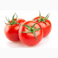 Продам помідори(томат)