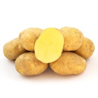 Продаємо картоплю сорт Фонтане 1 гатунок, Черкаська обл