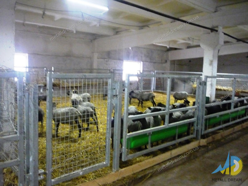 Фото 10. Стійлове обладнання для утримання кіз та овець