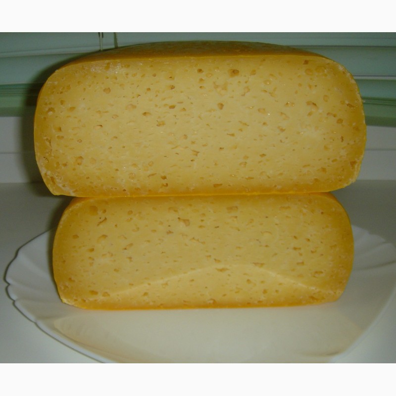 Фото 4. Сыр твердый и полутвердый из козьего молока