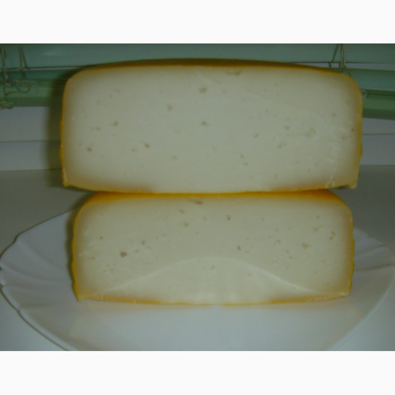 Фото 6. Сыр твердый и полутвердый из козьего молока