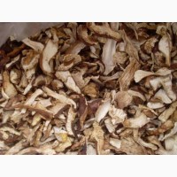Сушение грибы