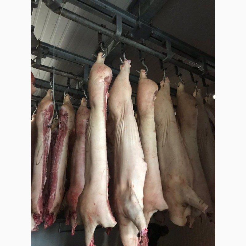 Фото 2. Продажа Охлажденного и Замороженного Мяса (Свинина, Говядина)