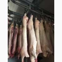 Продажа Охлажденного и Замороженного Мяса (Свинина, Говядина)