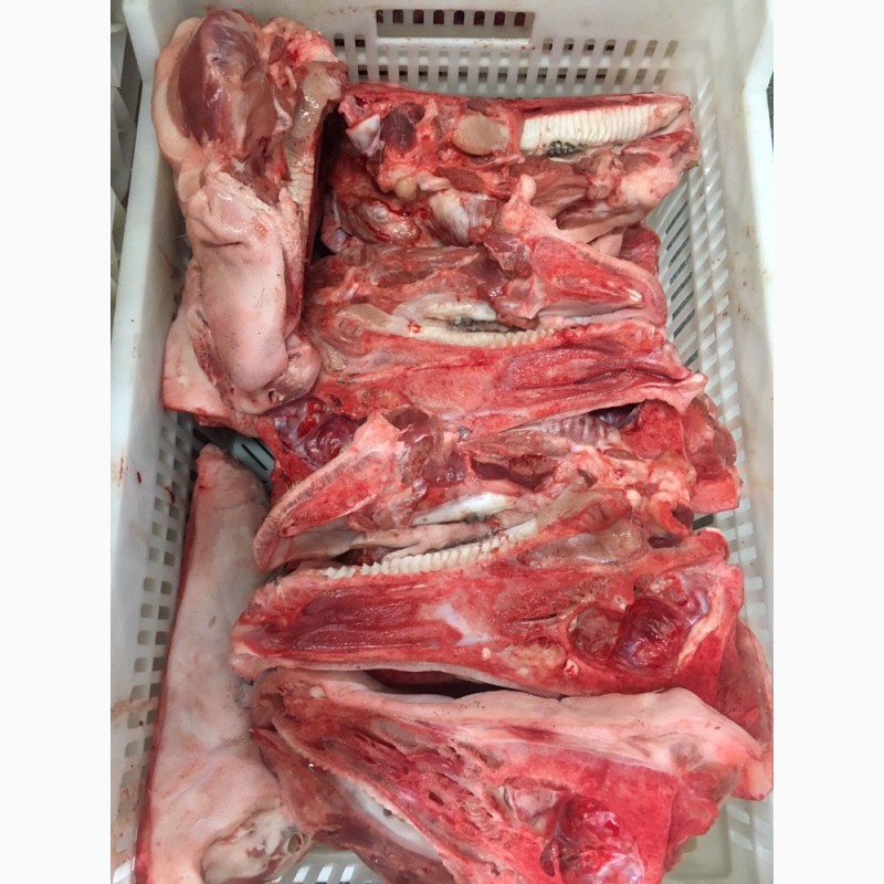 Фото 3. Продажа Охлажденного и Замороженного Мяса (Свинина, Говядина)