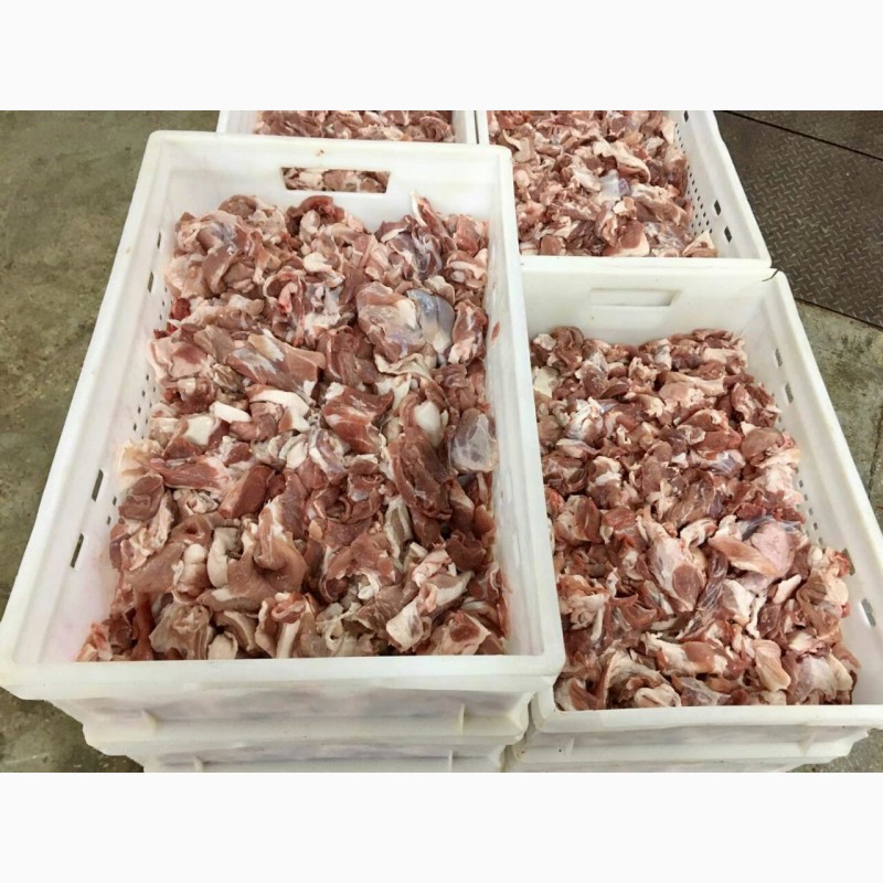 Фото 4. Продажа Охлажденного и Замороженного Мяса (Свинина, Говядина)
