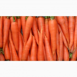 Покупаем морковь