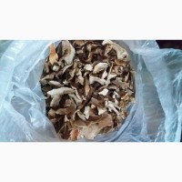 Продам гриби білі