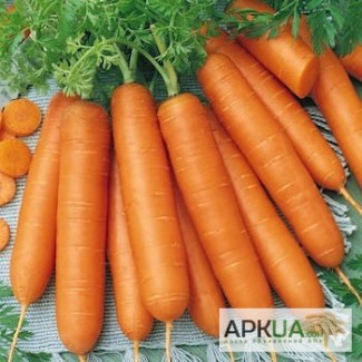 Продам семена моркови Берликум