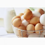 Яйцо куриное СО+, СО, С1, С2, грязное продам от произодителя ОПТОМ