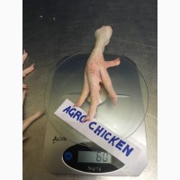 Куриная лапа класс Б(chicken paw grade В)