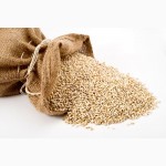 Продам КРУПЫ пшеничная, ячневая, перловая, кукурузная, гречневая пропаренная(сечка), горох