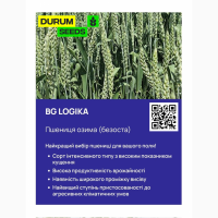 Насіння пшениці - БГ Логіка (BG Logika) пшениця м#039; яка озима (Biogranum D.O.O.)