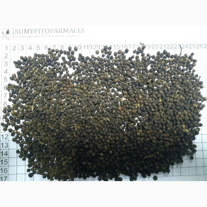 Фото 2. Перец черный горошек, плотность 500, Вьетнам