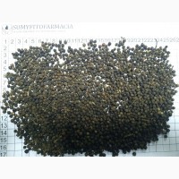 Перец черный горошек, плотность 500, Вьетнам
